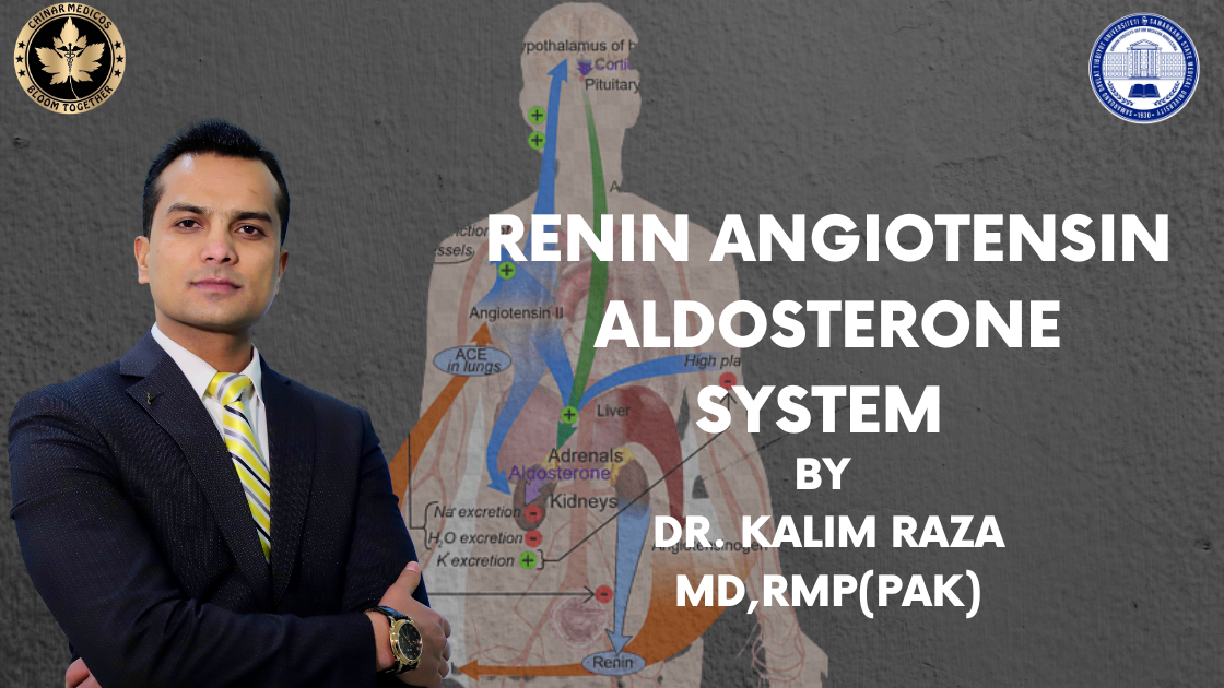 Renin angiotensin aldosterone system