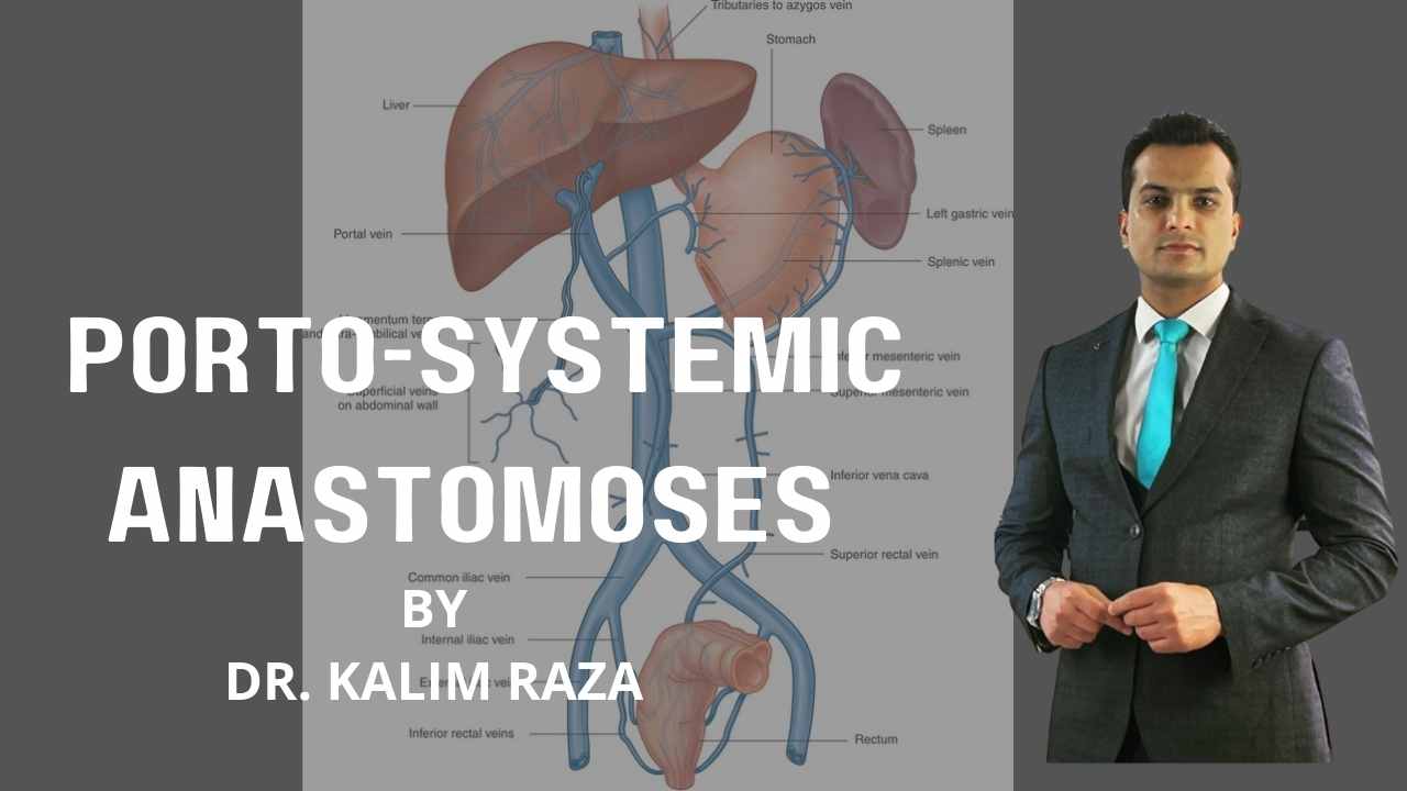 Porto systemic anastomoses part A