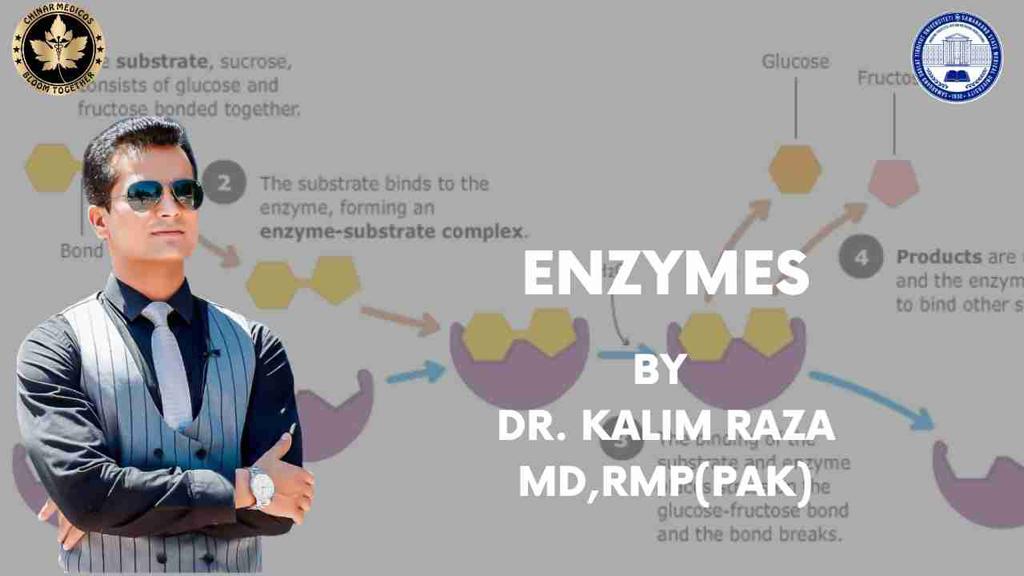 Enzymes