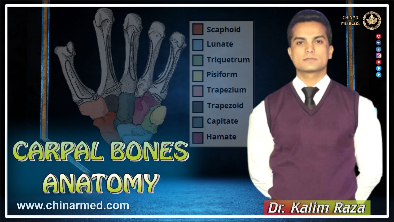 Carpel bones anatomy