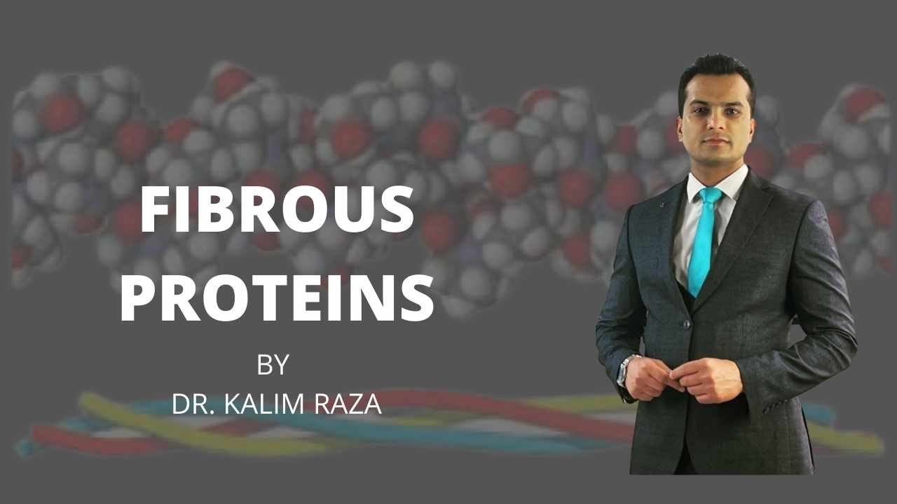 Fibrous proteins