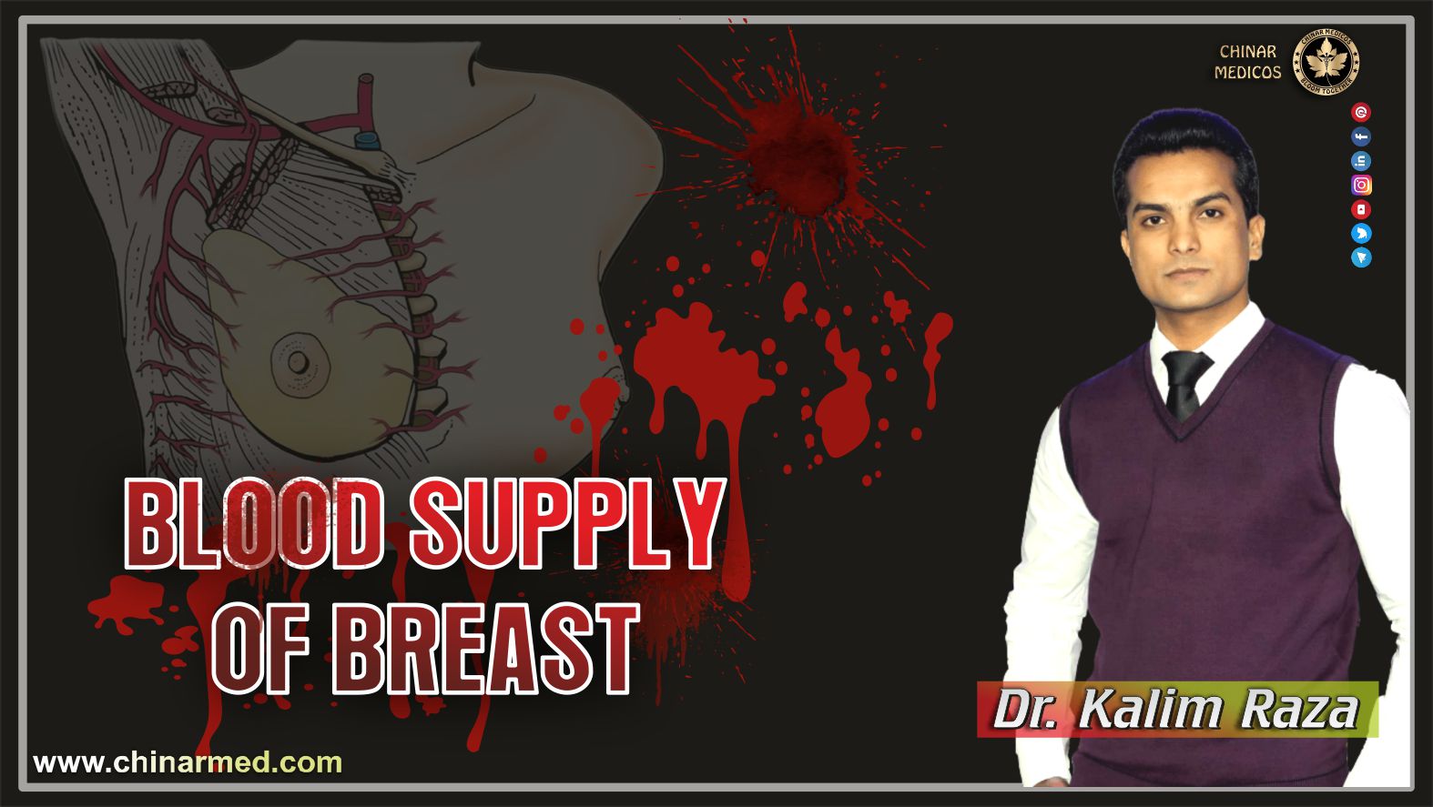 Blood supply of breast