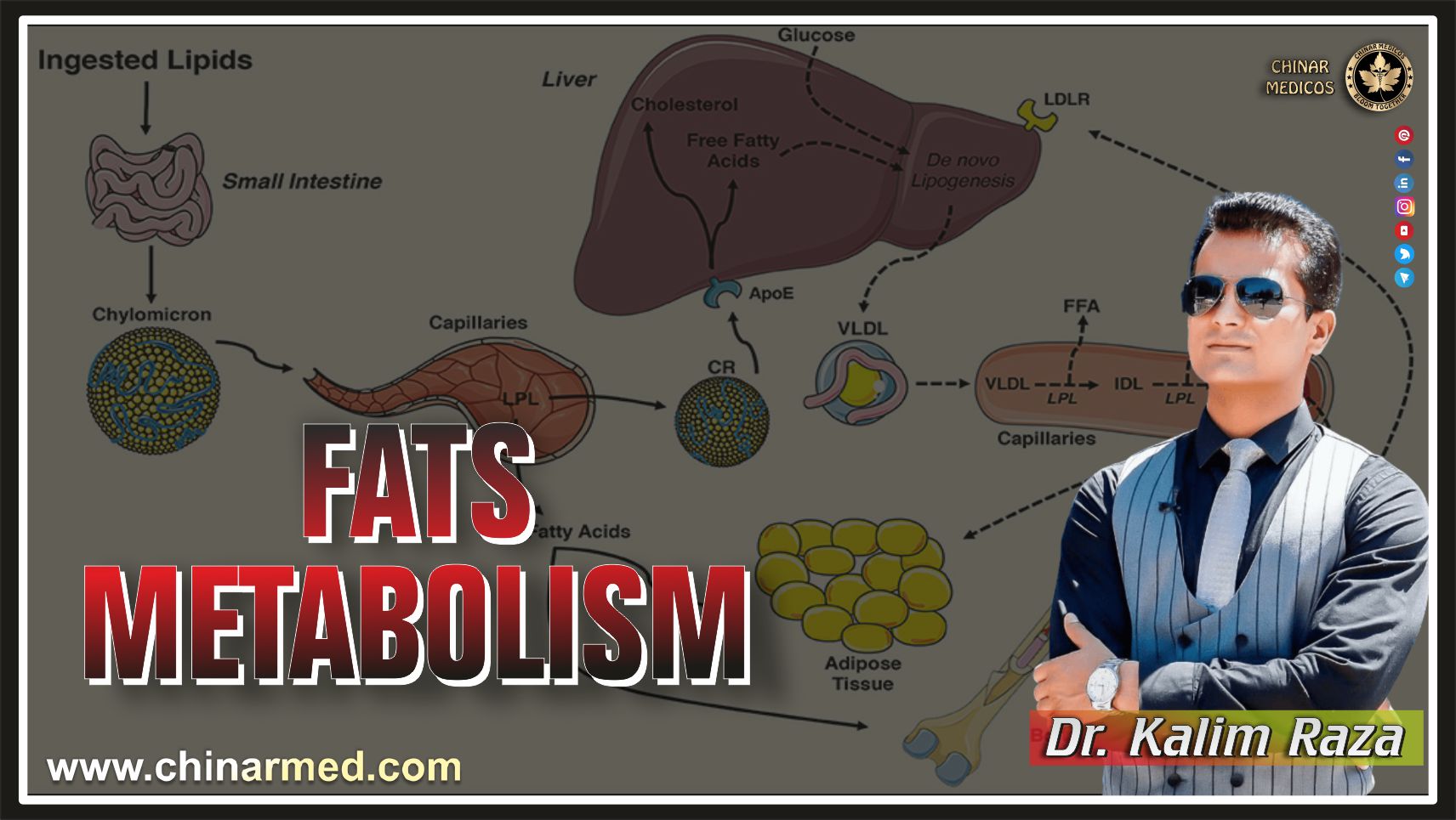 Fats metabolism