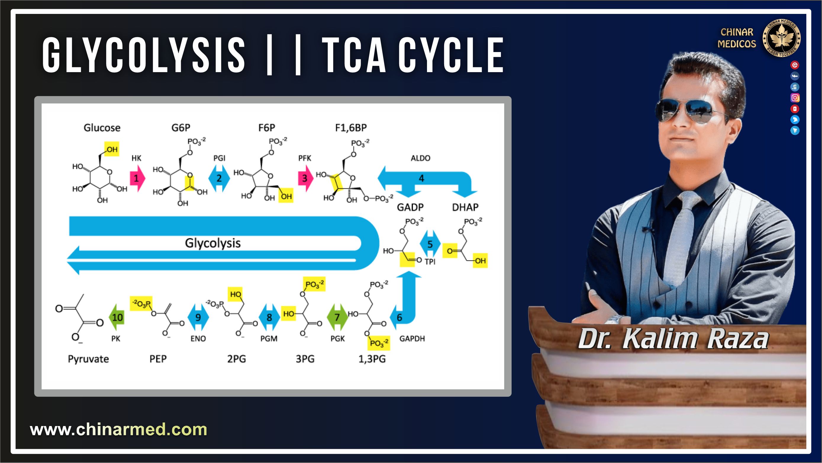 Glycolysis