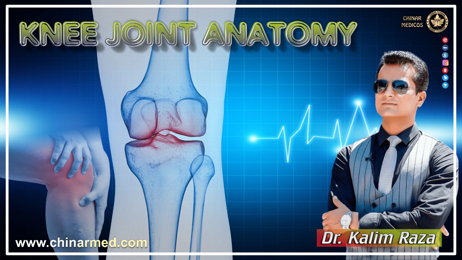 Knee joint