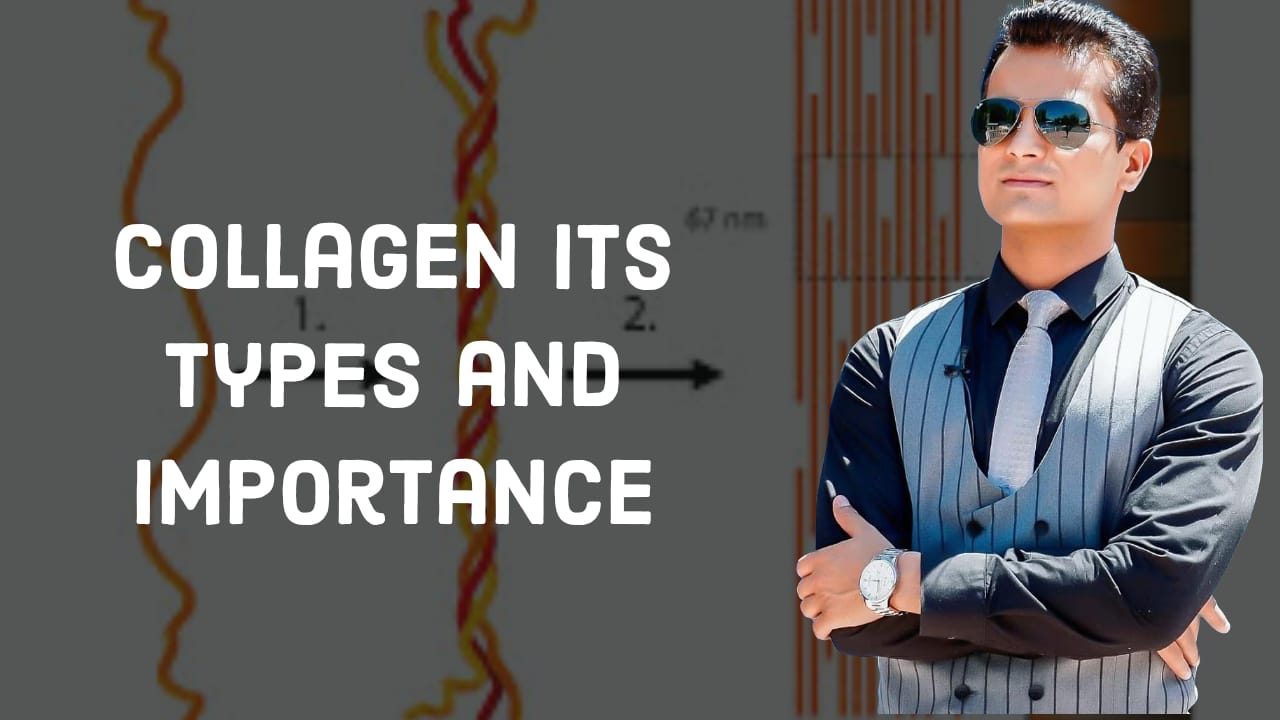 Collagen and its types