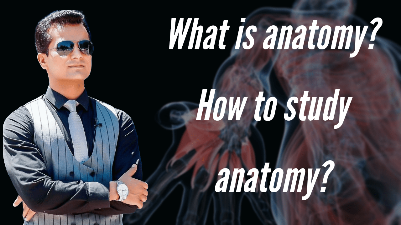 What is anatomy and how to study anatomy