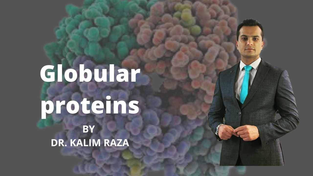 Globular proteins