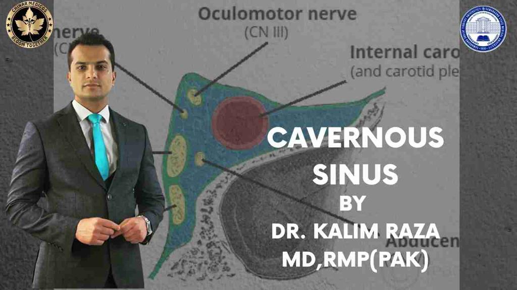 Cavernous sinus and sinuses of brain