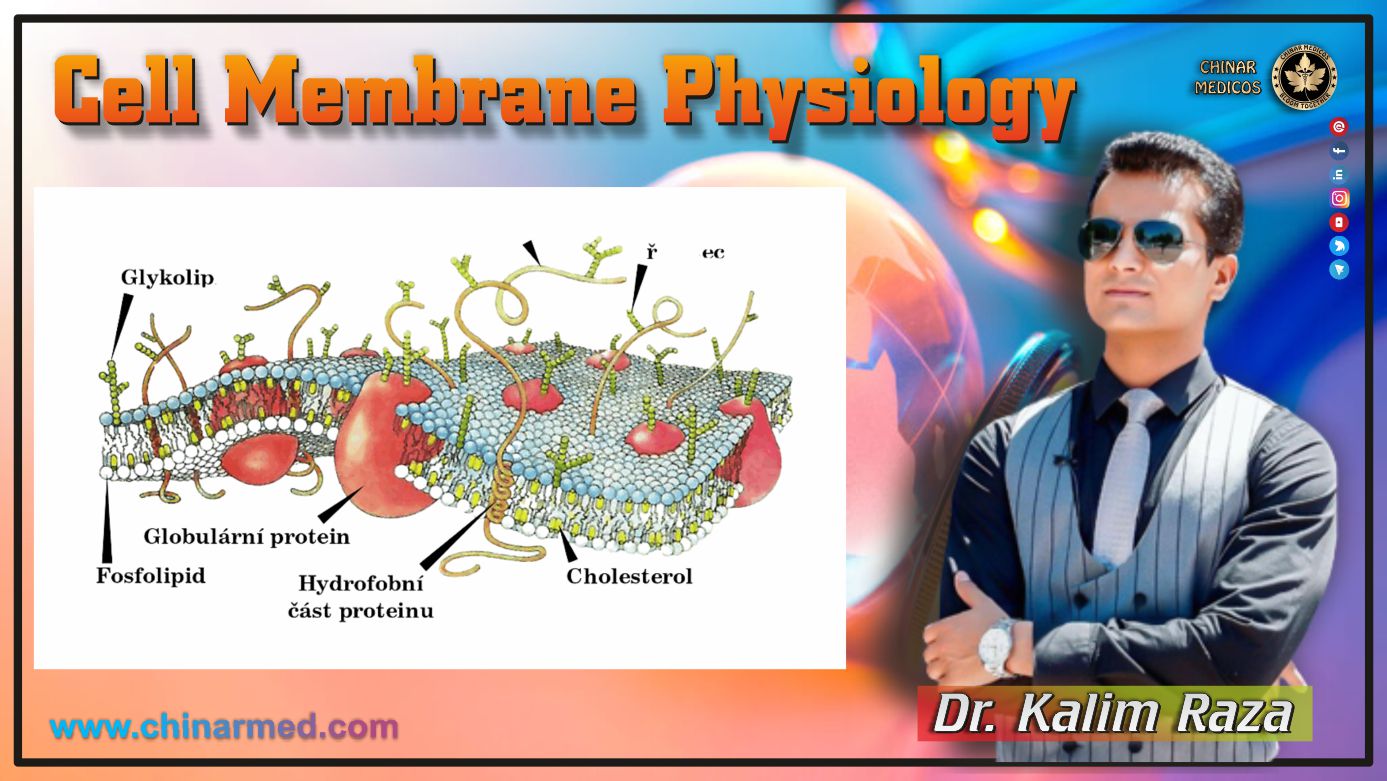 Cell membrane physiology