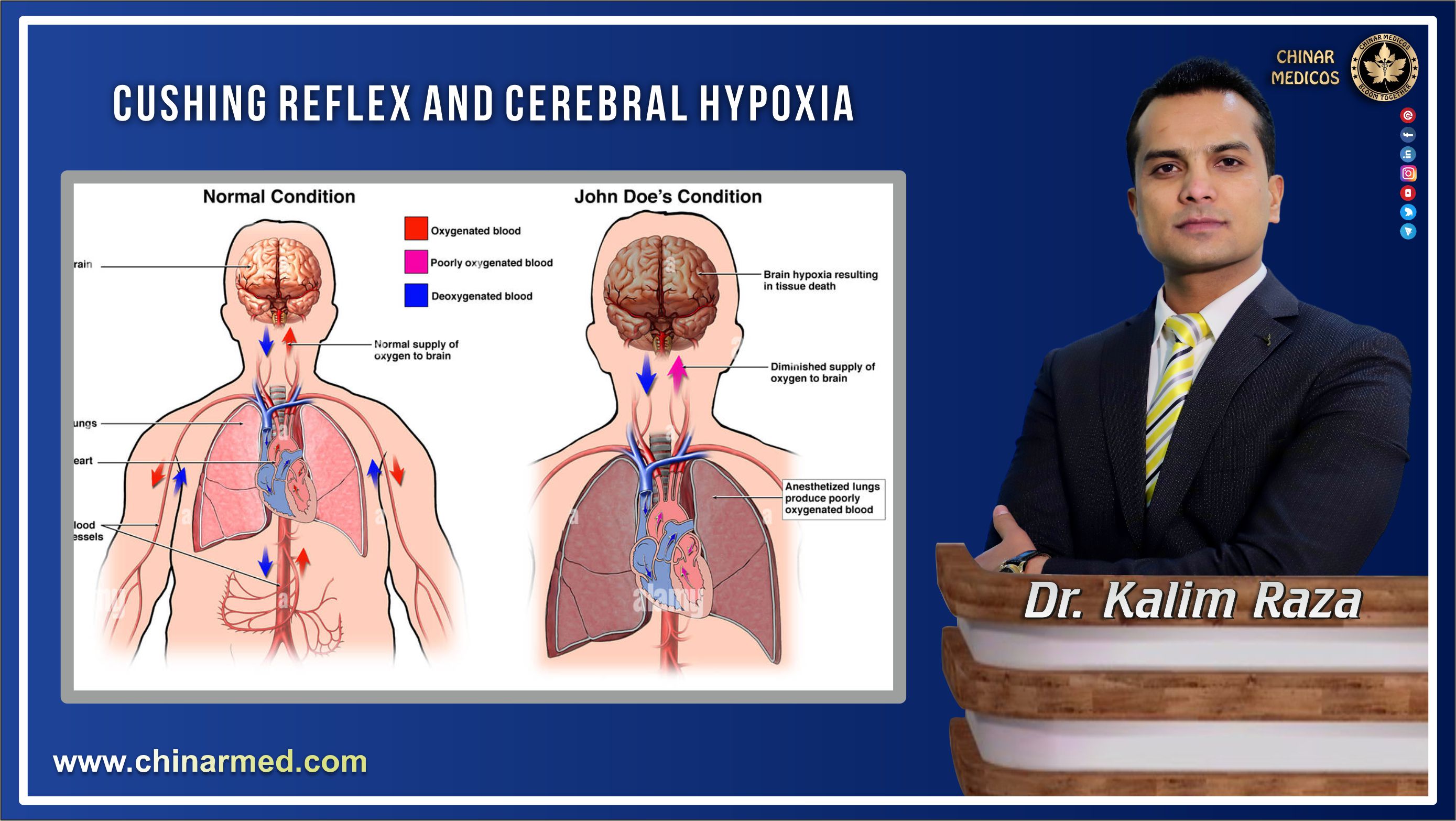 Cushing reflex and cerebral hypoxia