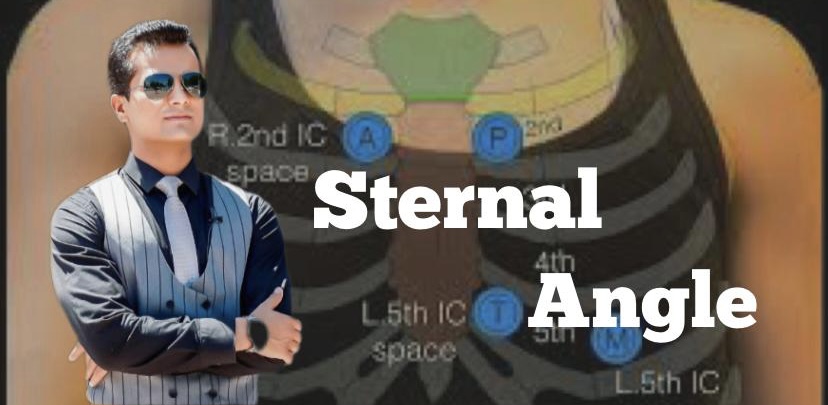 Sternal angle and rib cage