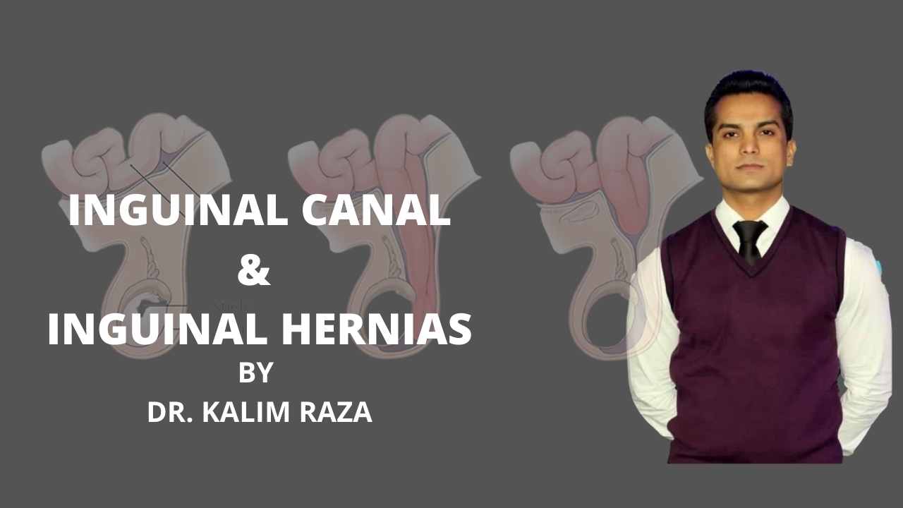 Inguinal canal anatomy