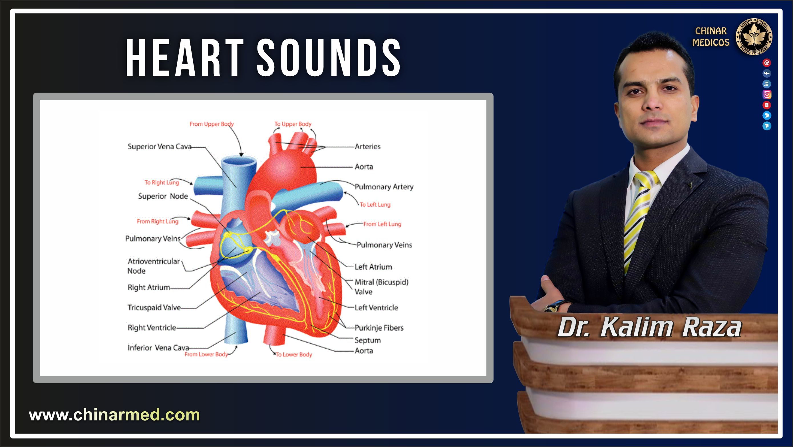 Heart sounds