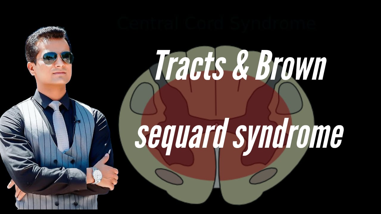 Tracts and Brown sequard syndrome