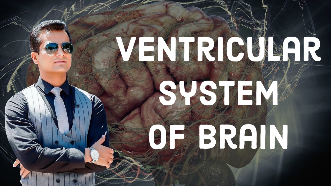 Ventricular system of brain