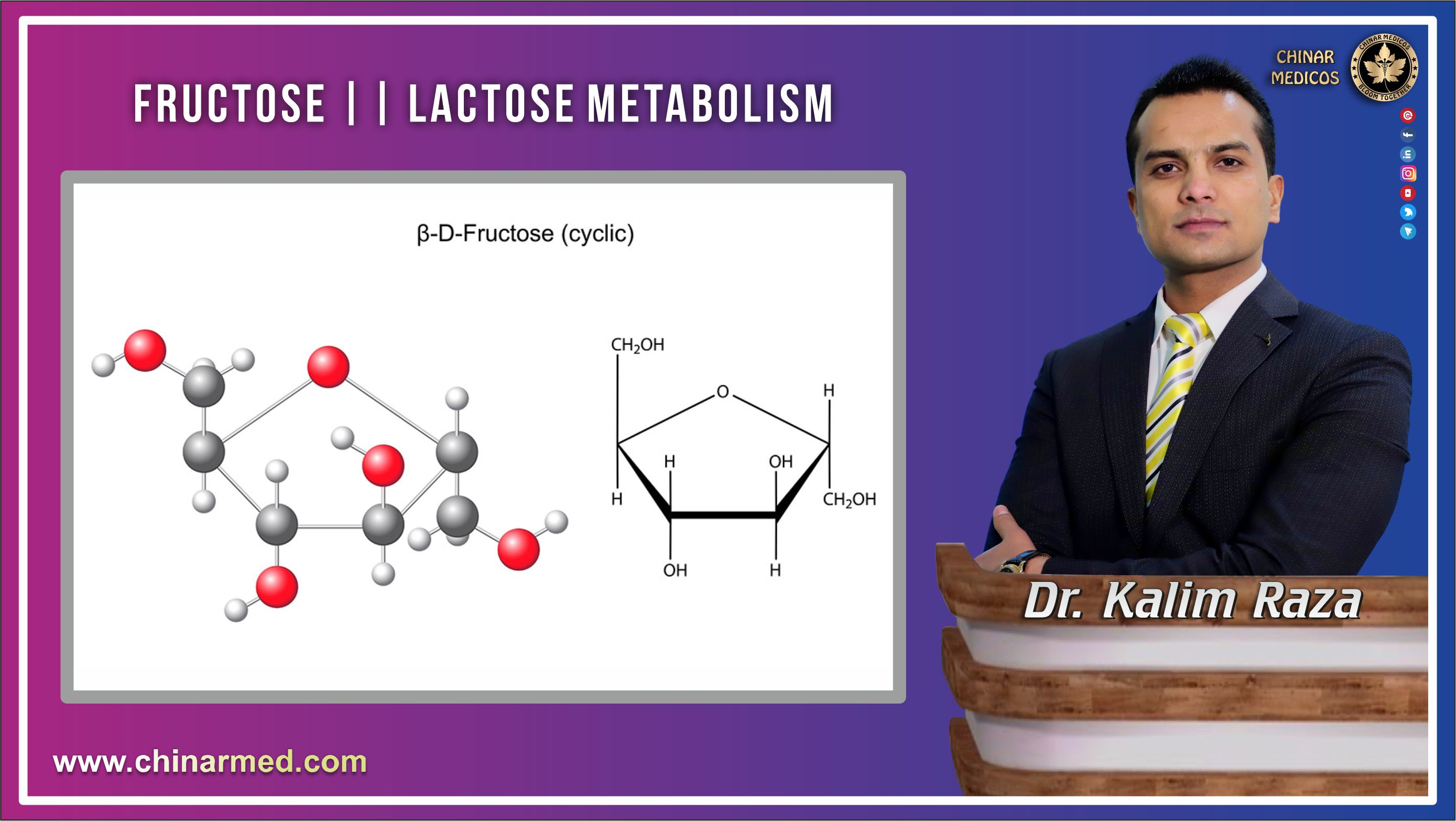 Fructose and lactose metabolism
