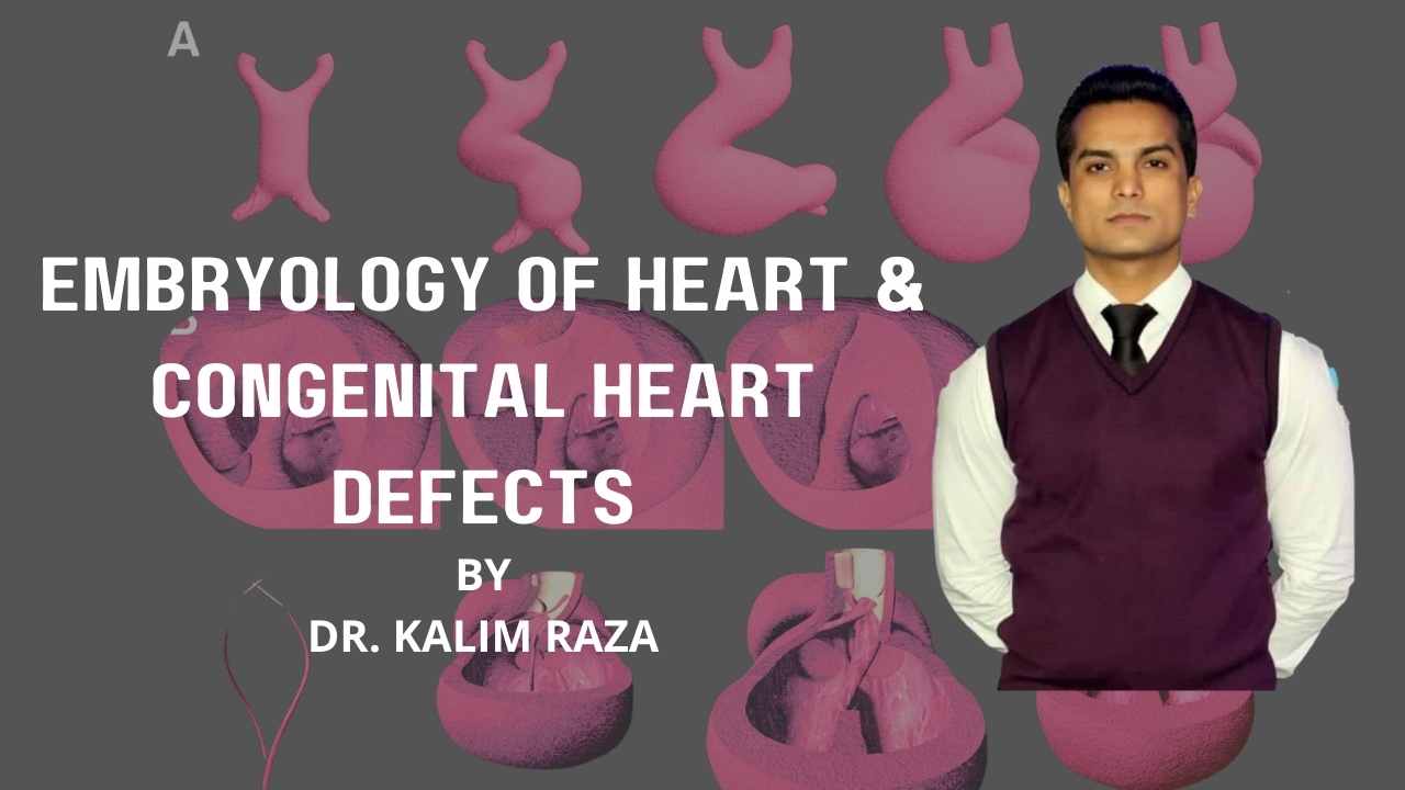 Embryology of heart and common congenital defects