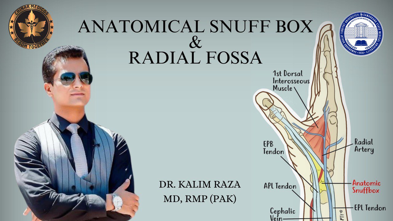 anatomical snuff box