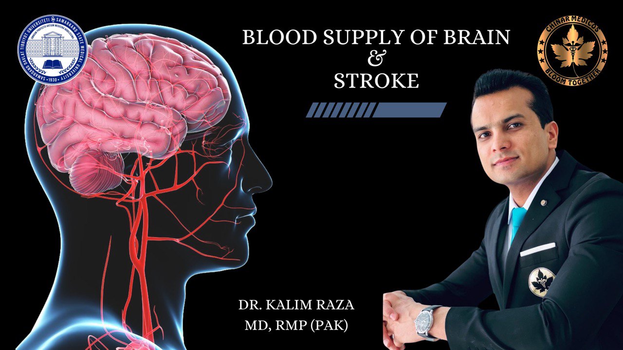 Blood supply brain and stroke part2