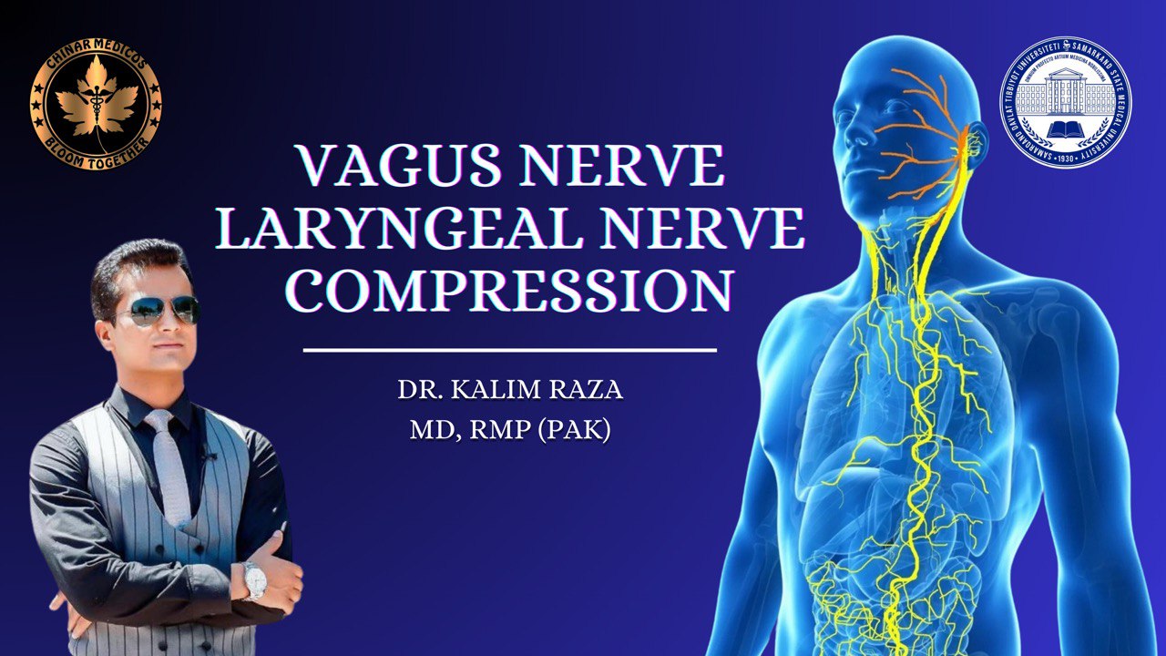VAGUS NERVE branch RL IN THORAX