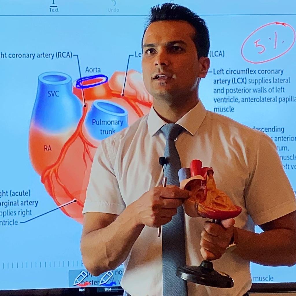 Blood supply of heart